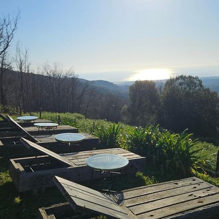 Domaine Colonna-Santini, Gite Piscine, Sauna, Spa Porri Exteriör bild