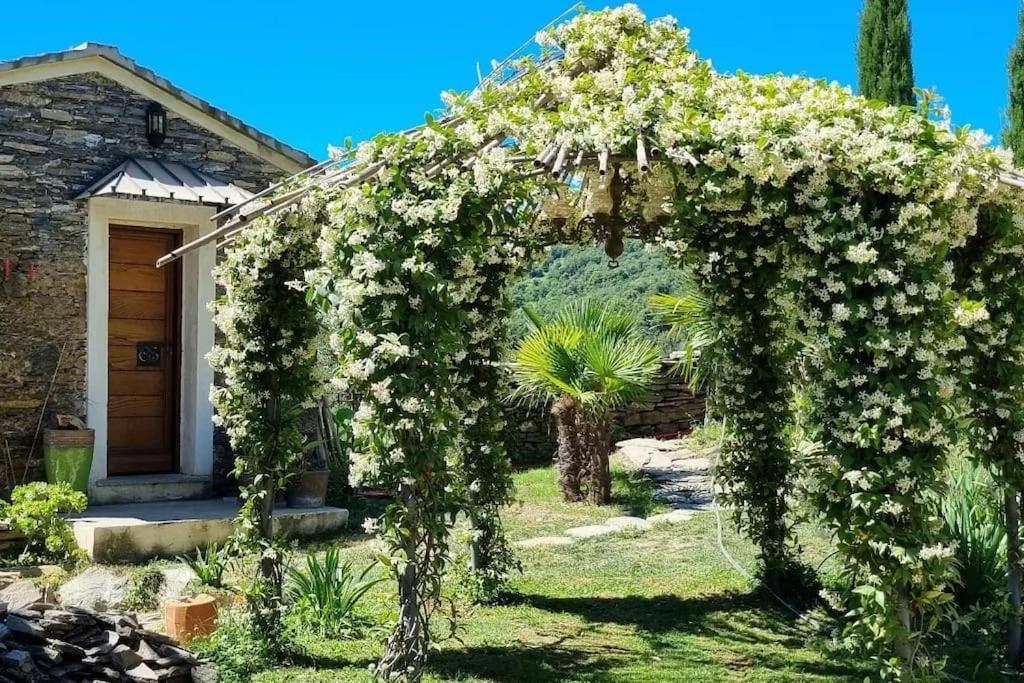 Domaine Colonna-Santini, Gite Piscine, Sauna, Spa Porri Exteriör bild